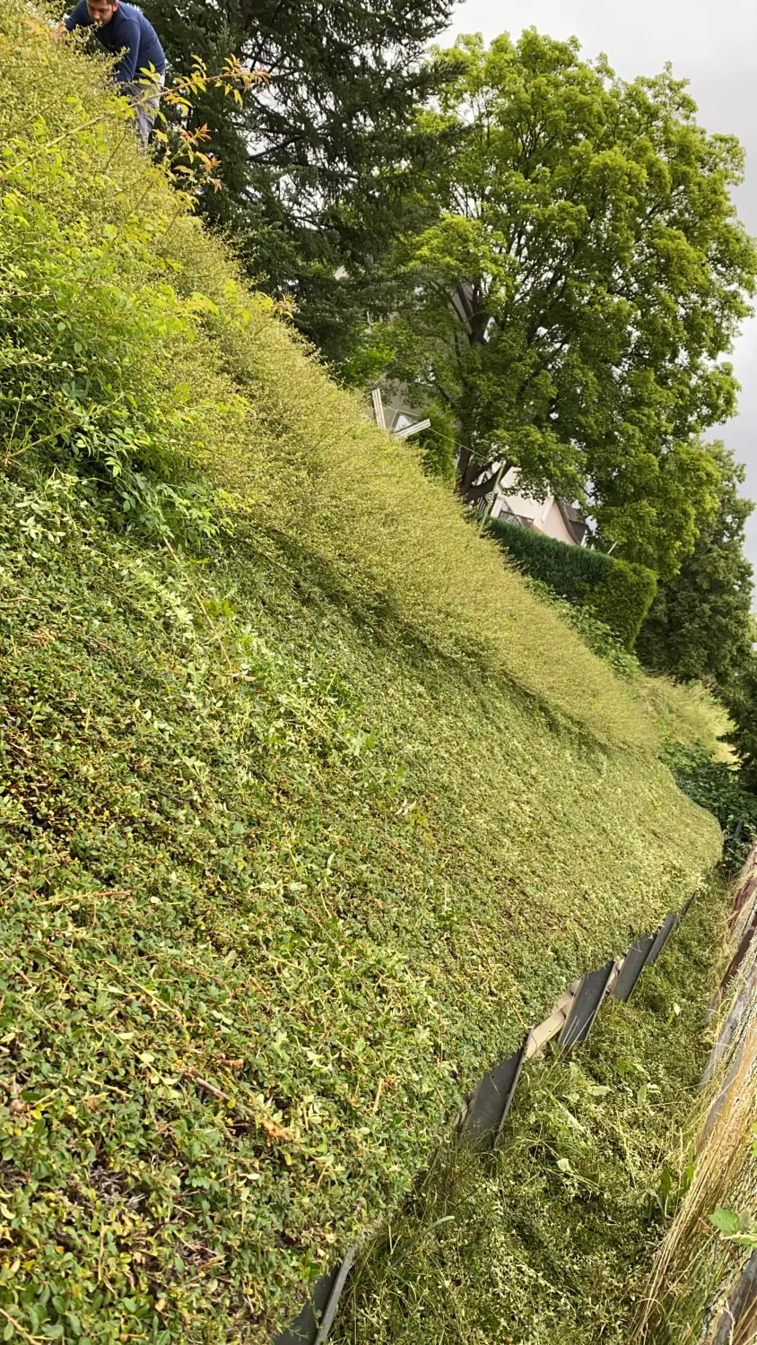 Garten & Grünanlagenpflege 